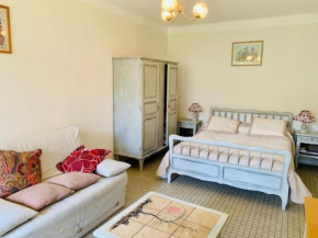 Charmant F1, 2 couchages à Amélie-les-Bains, proche thermes et centre, animaux acceptés - FR-1-703-128